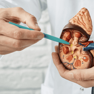 Urology ST3 Interview Question Bank - PrepSurg