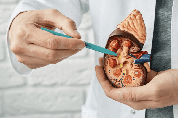 Urology ST3 Interview Question Bank - PrepSurg