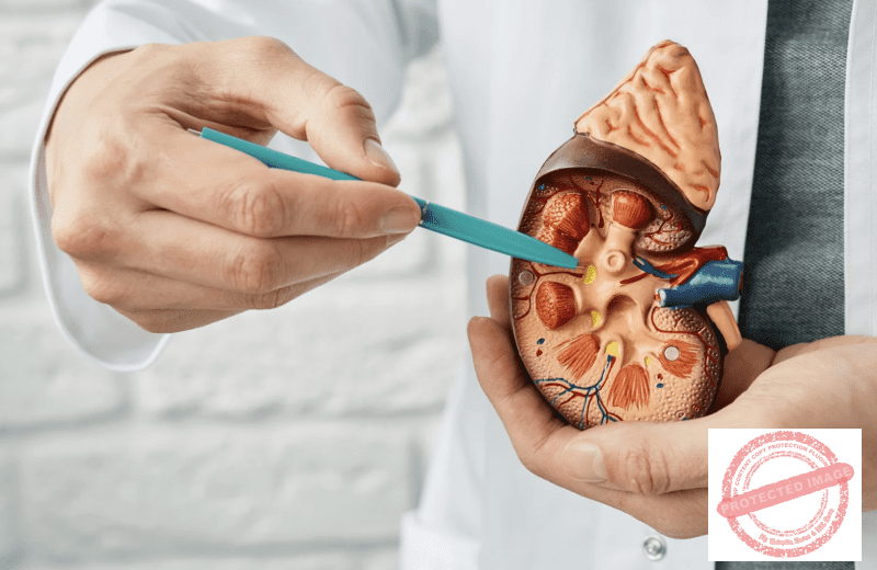 Urology ST3 Interview Question Bank - PrepSurg