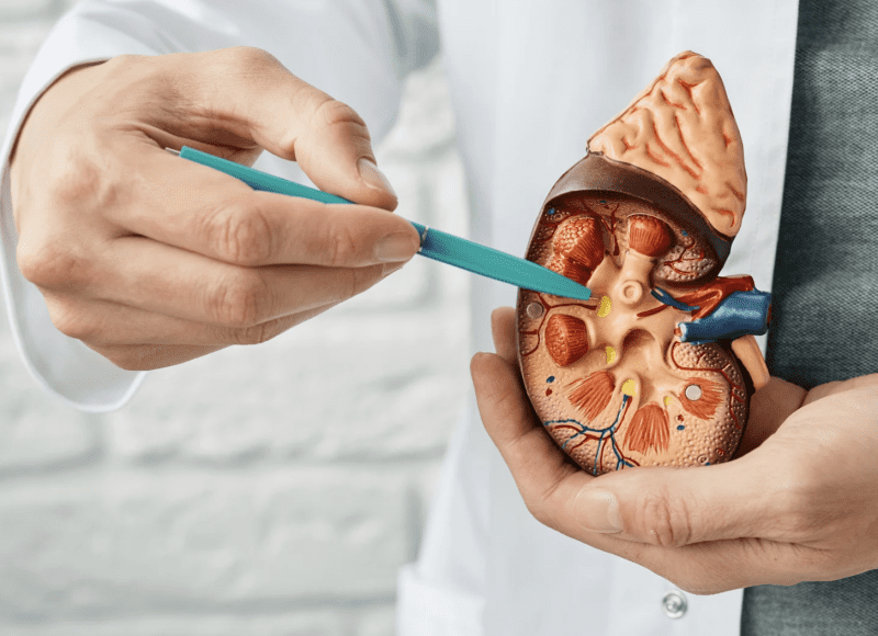 Urology ST3 Interview Question Bank - PrepSurg